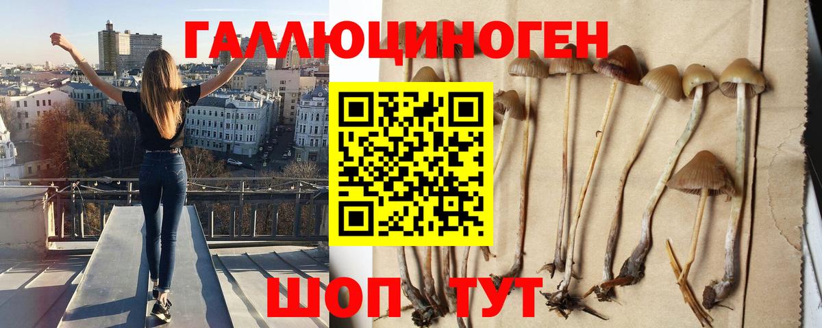 Псилоцибиновые грибы Psilocybe  Псилоцибиновые грибы MAGIC MUSHROOMS  Вход с VPN  Бугуруслан 